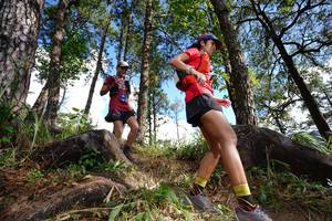 BIB: 
                            <button type="button" onclick="openModal(18888256)" class="btn btn-primary btn-sm float-right btn-popup" data-toggle="modal" data-target=".modal-high-quality">
                        <i class="fas fa-shopping-cart"></i> Add to Cart
                    </button>
                                            <button type="button" onclick="isThisMe(18888256, true)" class="btn btn-success btn-sm float-right btn-popup btn-isme hidden" data-toggle="tooltip" data-placement="bottom" title="นี่คือรูปของคุณใช่ไหม คลิกที่นี่เพื่อเอาเข้าอัลบั้ม">
                        <i class="fas fa-plus"></i> Add to album
                    </button>
                    <button type="button" onclick="isThisMe(18888256, false)" class="btn btn-warning btn-sm float-right btn-popup btn-isnotme hidden">
                        <i class="fas fa-ban"></i> Remove from album
                    </button>